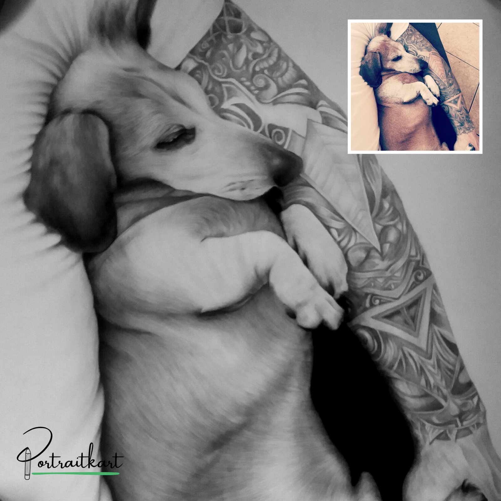 Pet - Portfolio Example