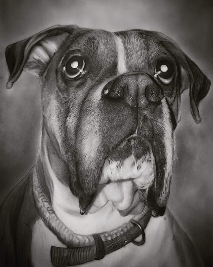 Pet Portrait